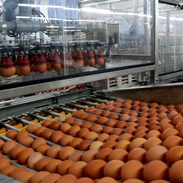 Агрохолдинг Бахматюка за рік скоротив збитки в 8 разів