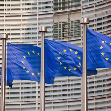 Євродепутат спростовує претензії до розподілу агродотацій в Україні