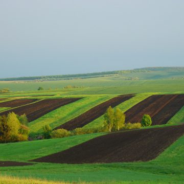 Земля і гроші: що отримають від держави учасники АТО