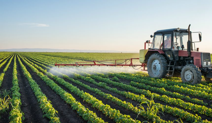 В Україні ціни на азотні добрива перевищують загальносвітові на 30%