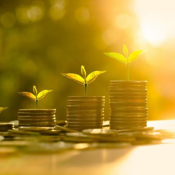 Капітальні інвестиції: аграрії випередили державу