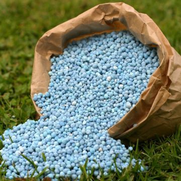 Кубів: Аграрії повністю забезпечені добривами для посівної
