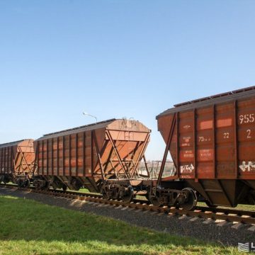 У січні-лютому перевезення зерна залізницею скоротилося на 12%