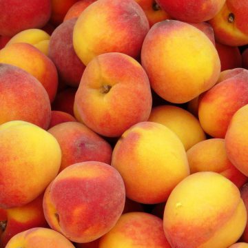 Експорт фруктів збільшився в 11 разів