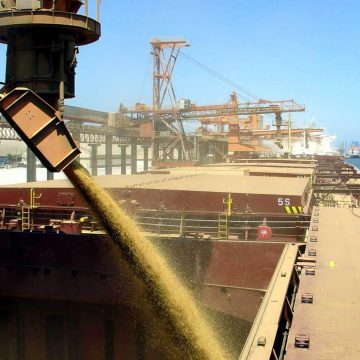 Термінал MV Cargo планує перевалити 1 млн тонн зерна
