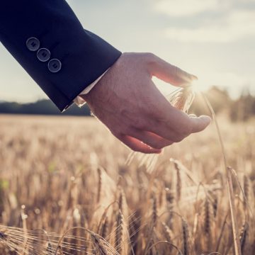 6 основних ризиків у сільгоспвиробництві, які не страхують аграрії