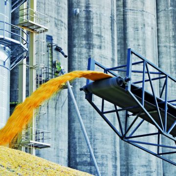 Вартість українського ячменю зросла на 27%