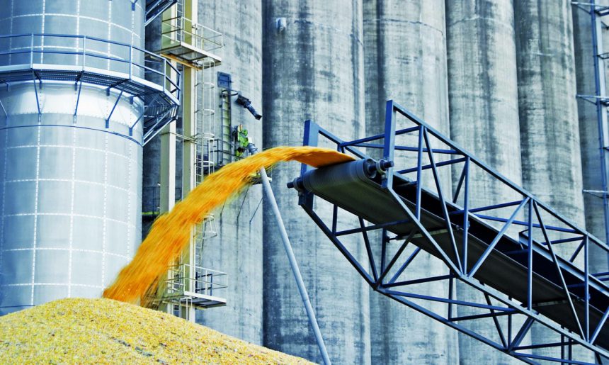 Вартість українського ячменю зросла на 27%