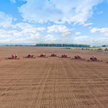 Посівні площі сої можуть скоротитися на 10%