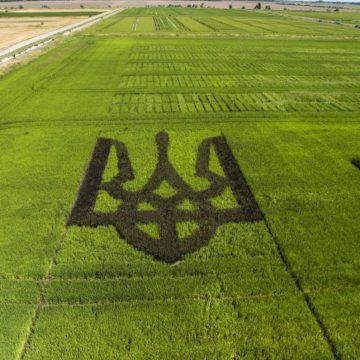 Конкурентоспроможність українських товарів на міжнародному ринку виросте