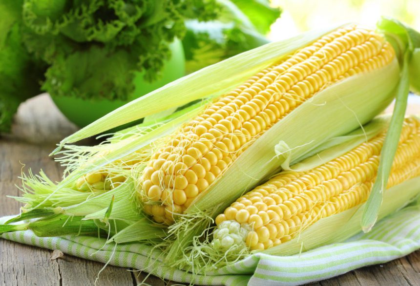 Морпорти в березні на 40% збільшили експортні відвантаження кукурудзи