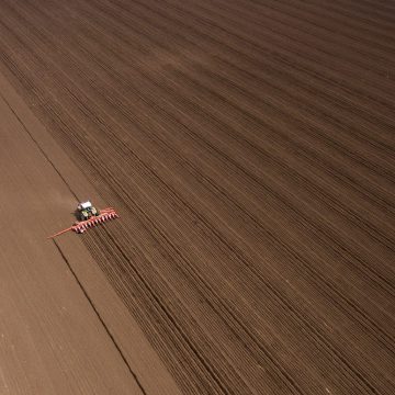 Скільки коштує посівна: оцінки учасників ринку