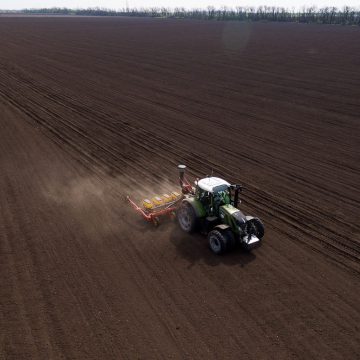 Ранніми зерновими вже засіяно 138 тис. га
