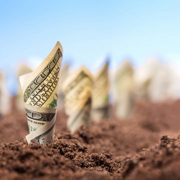 Частка банківського кредитування в АПК становить близько 7%
