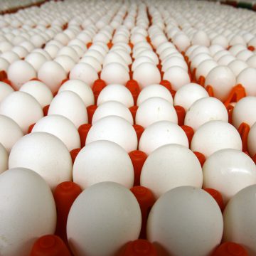 Овостар Юніон збільшив виторг на 27%
