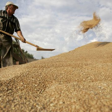 Вілія нарощує елеваторні потужності до 300 тис. т