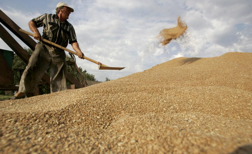 Вілія нарощує елеваторні потужності до 300 тис. т