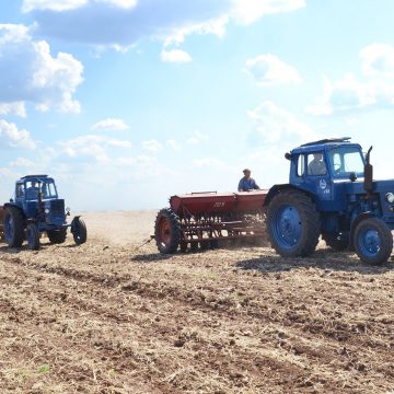 Погодні умови в Полтавській області перешкоджають посіву пізніх ярих