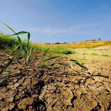 ФАО запустить в Україні програму по боротьбі з деградацією грунту