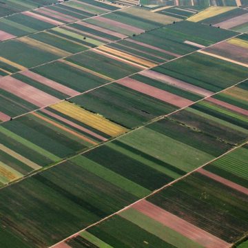 ПУСК планує в 2019 році збільшити земельний банк до 400 тис. га