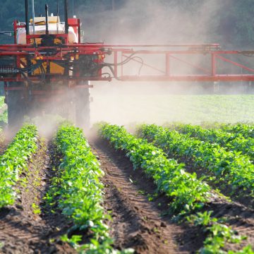 В Україні 70% протруйників є фунгіцидними