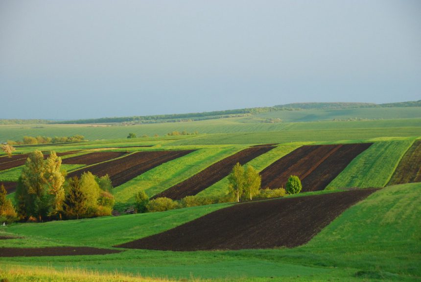 ЄСПЛ: Мораторій на продаж сільгоспземель порушує права людини