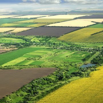 Площа сівби ярих зернових і зернобобових становить майже 7 млн ​​га
