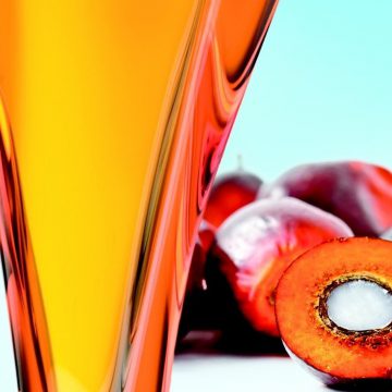 Заборона пальмової олії — що думають учасники ринку і експерти