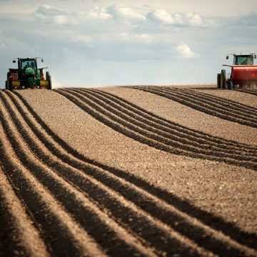Півсправи зроблено: Аграрії завершили посівну