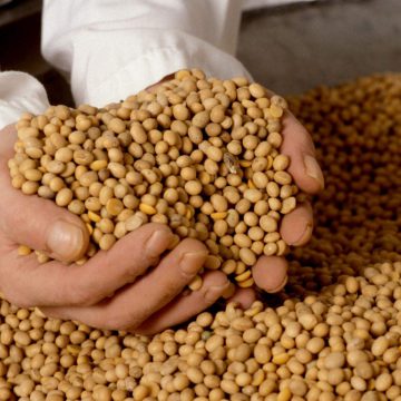 Українські переробники піднімають ціни на сою