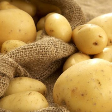 На Волині створюють перший картопляний кооператив