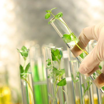 AgriLab відкриє лабораторію за 2 млн доларів