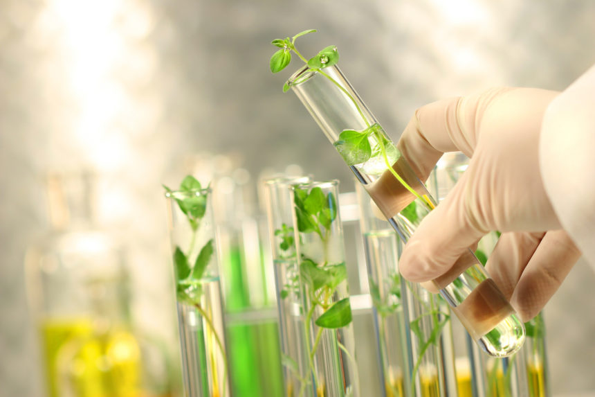 AgriLab відкриє лабораторію за 2 млн доларів