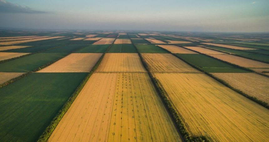 Україна може відкрити ринок землі з липня 2019 р. — президент УАК