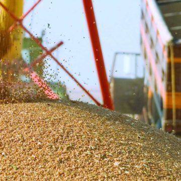 Іран має намір купити в Україні сільгосппродукції на 1,5 млрд доларів