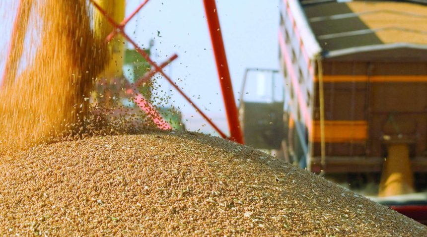 Іран має намір купити в Україні сільгосппродукції на 1,5 млрд доларів