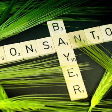 Експерт: угода BayerMonsanto — це союз науки і грошей