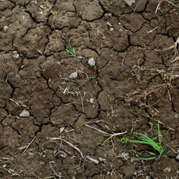 Мінекології: через деградацію земель врожайність впаде вдвічі