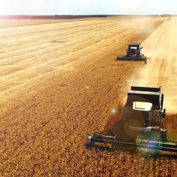 В Україні почалося збирання врожаю