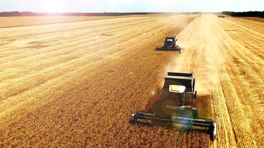 В Україні почалося збирання врожаю