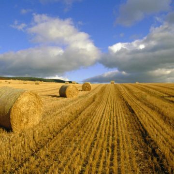 «Росток-Холдинг» в рамках реструктуризації ліквідує свої кіпрські компанії