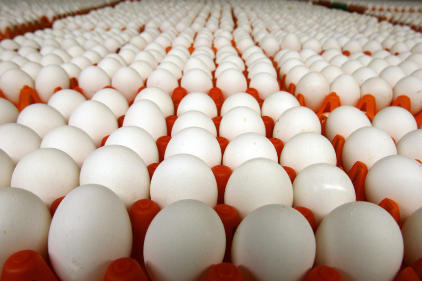 Україна продала яєць на 34 млн доларів