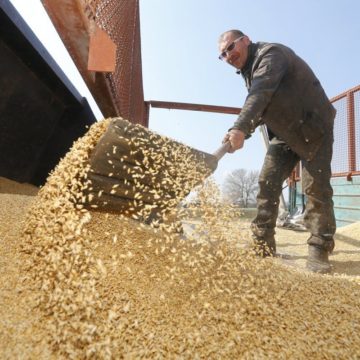 За рік перевезення зерна по Дніпру зросло на 15%