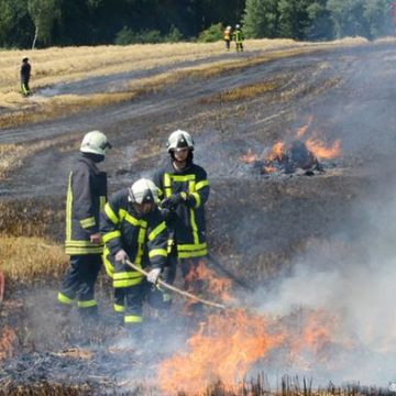 Трамп наказав більше не виділяти Каліфорнії грошей на боротьбу з лісовими пожежами