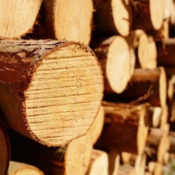 Нам потрібно поговорити. ЄС пропонує Україні консультації щодо мораторію на експорт деревини