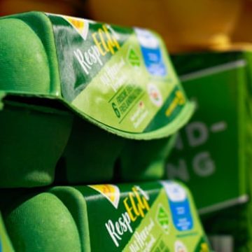 Створено пристрій, здатний визначати стать курчати в яйці