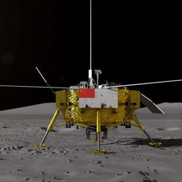 Бавовна, висаджена на Місяці китайцями, дала перші сходи
