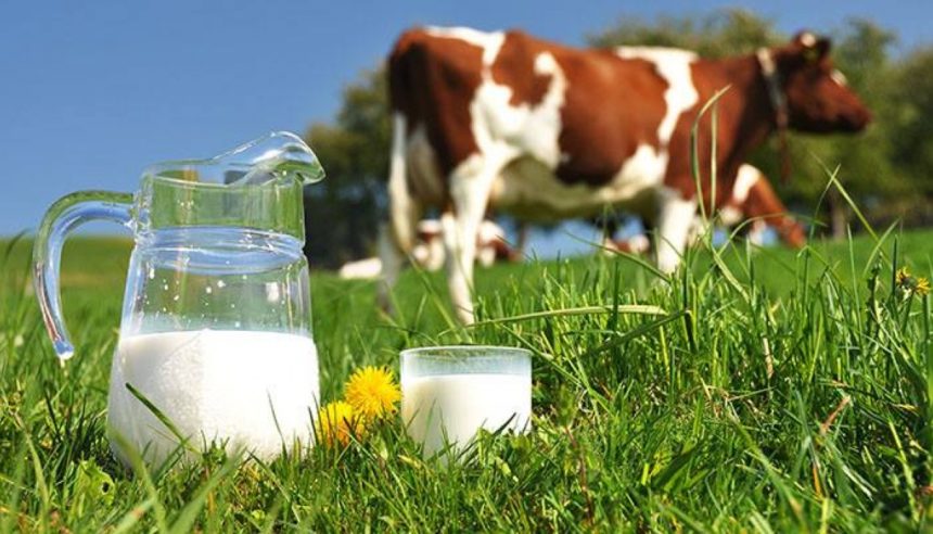 Україна увійшла в 10-ку світових лідерів з експорту молочної продукції