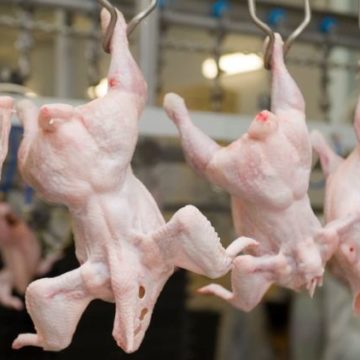Українська курятина може потіснити бразильську на саудівському ринку