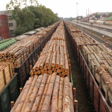 ЄС ініціює переговори щодо зняття мораторію на експорт лісу